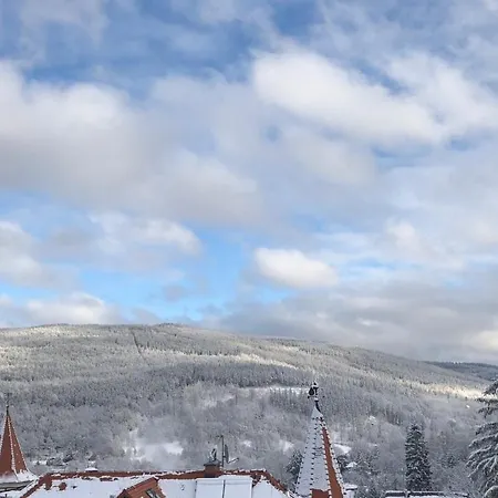 Boutique Sudetia - Medical & Hotel 3*