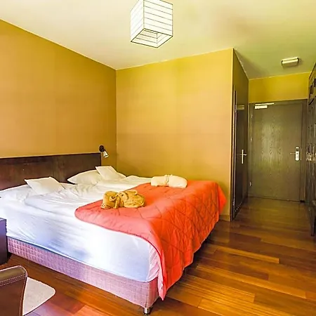 Hotel Boutique Sudetia - Medical&spa 3*