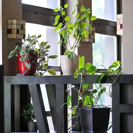 Hotel Boutique Sudetia - Medical &