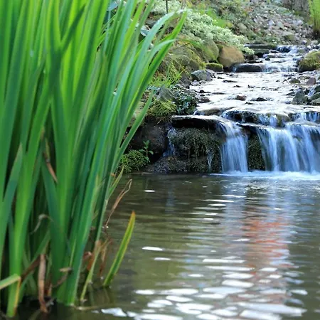 Boutique Sudetia - Medical & Hotel Świeradów-Zdrój