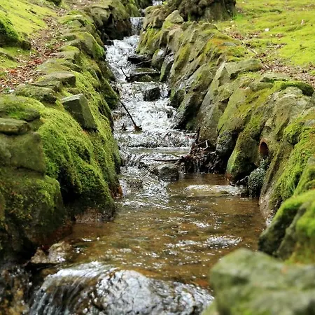 Hotel Boutique Sudetia - Medical & Świeradów-Zdrój