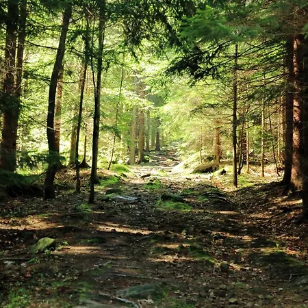 Boutique Sudetia - Medical & Hotel Świeradów-Zdrój