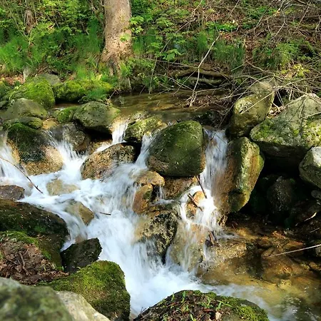 Boutique Sudetia - Medical & Świeradów-Zdrój