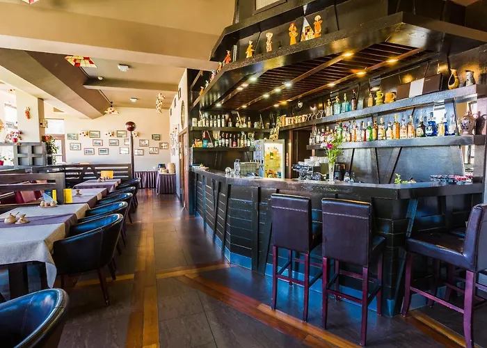 Boutique Sudetia - Medical & Отель