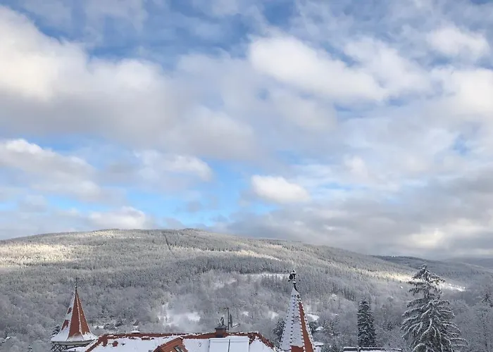 Boutique Sudetia - Medical & Отель 3*