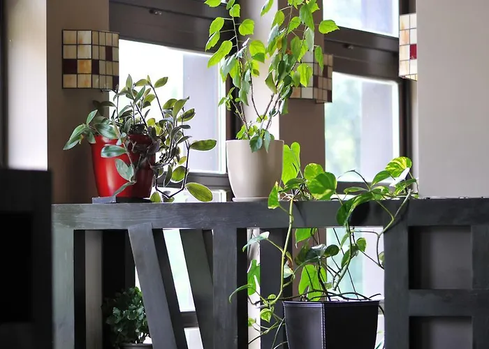 Отель Boutique Sudetia - Medical &