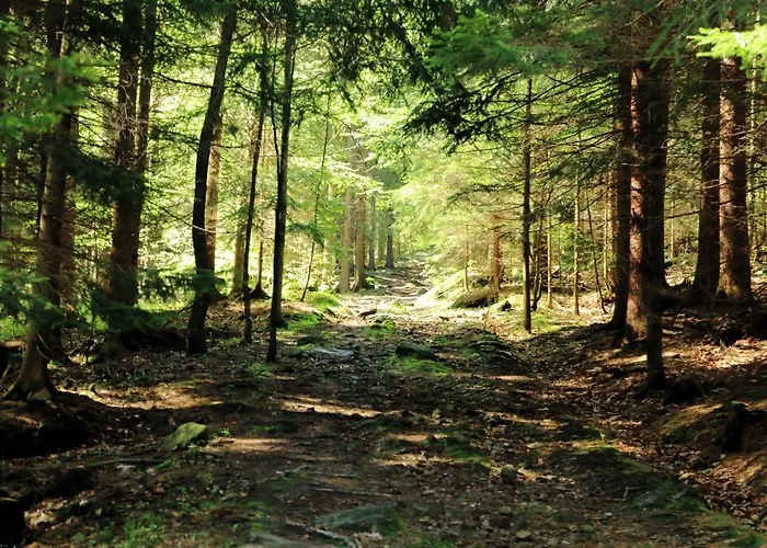 Boutique Sudetia - Medical & Отель Сверадув-Здруй