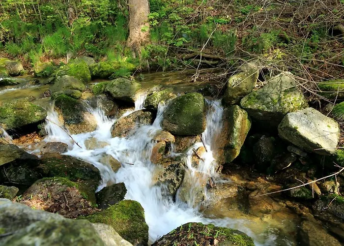 Sudetia Świeradów-Zdrój